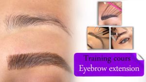 Eyebrow extension training course
