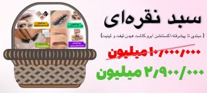 سبد نقره ای